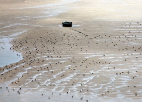 barque sur le sable